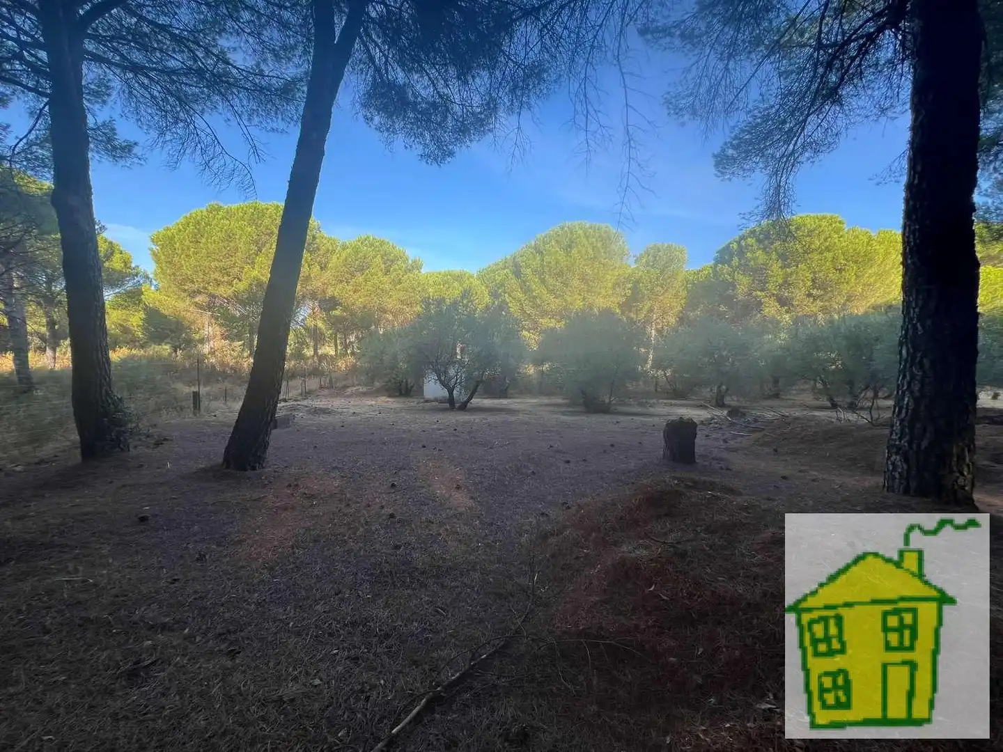 Country house with pool for sale in Andújar, imagen 16
