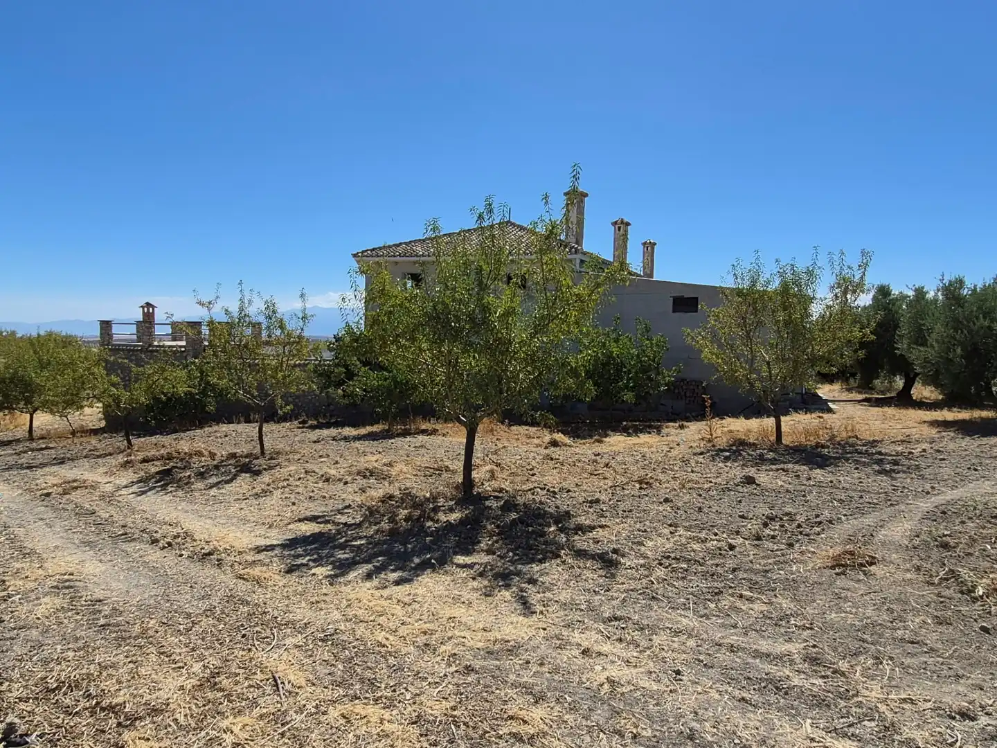 Terreny rústic en venda a Alhama de Granada, imagen 9