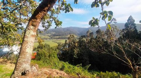 Foto 2 de Casa o xalet en venda a Pravia, Asturias