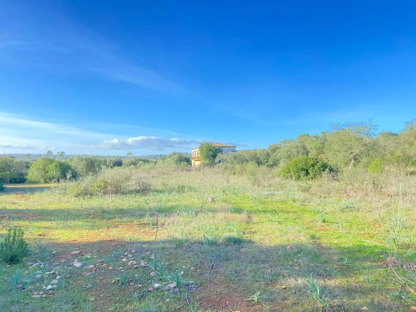 Maison rustique à vendre à Sineu, imagen 14
