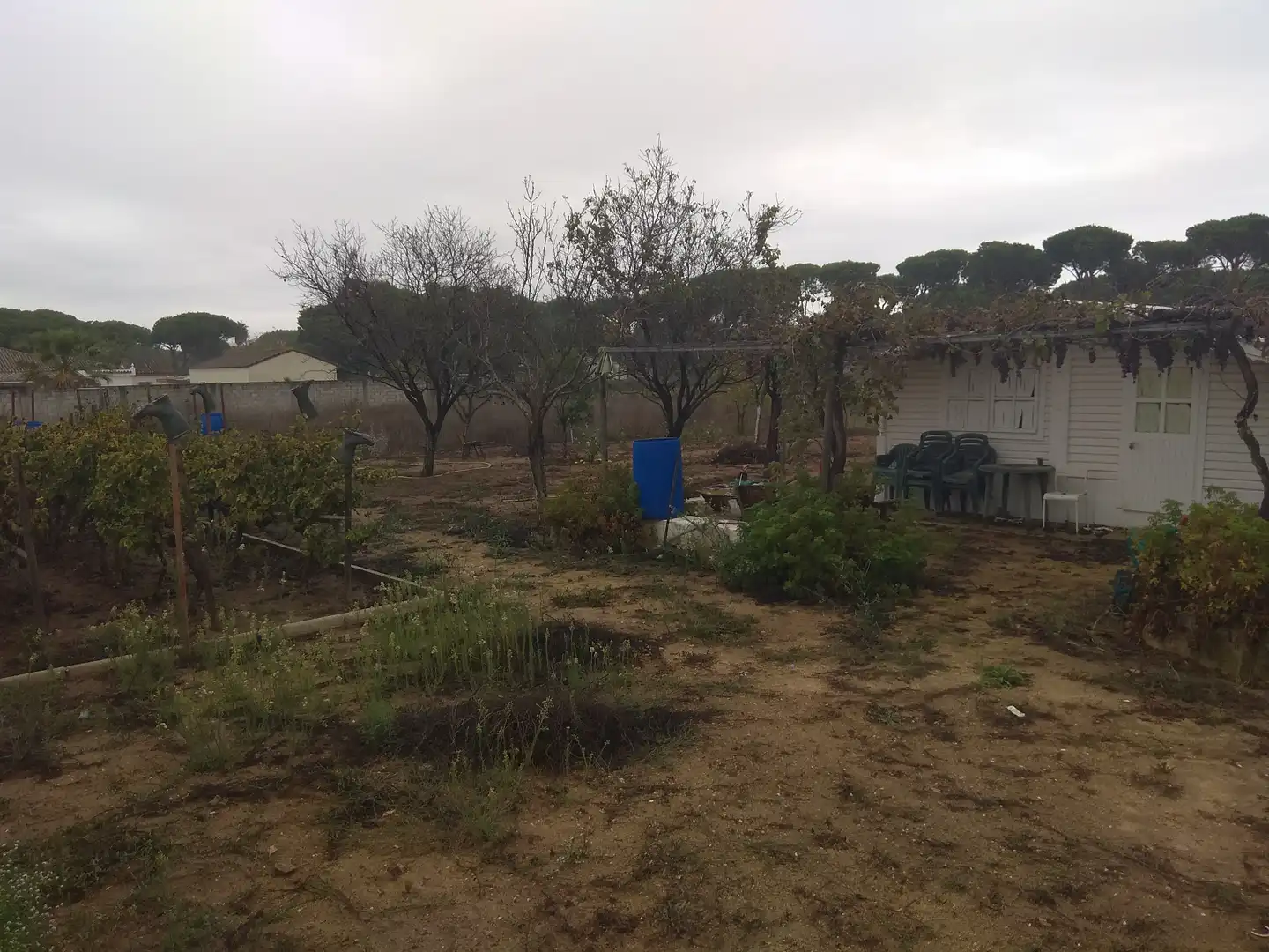Residential land for sale in Carretera de la Barrosa, imagen 4