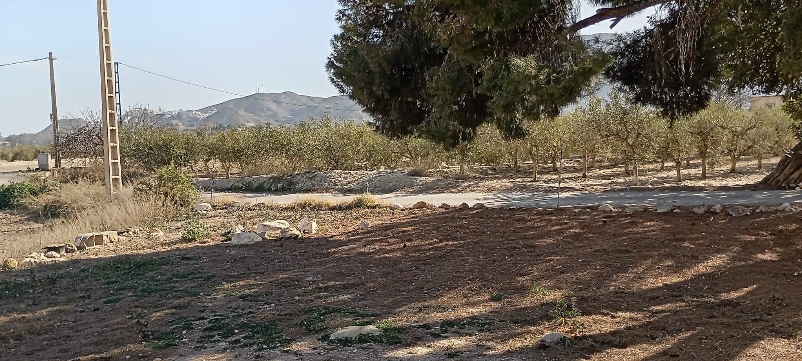 Casa o chalet en venta en Mojácar con Jardín privado