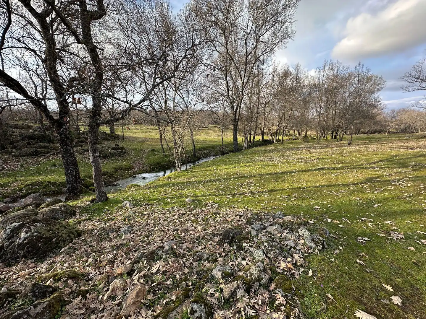 Terreni e lotti in vendita a Malpartida de Plasencia, imagen 8