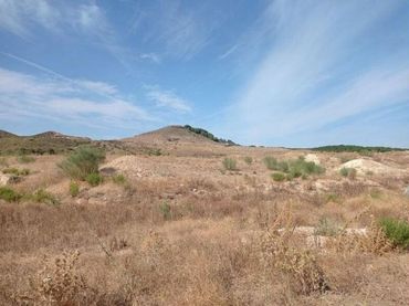 Terreno residenziale in vendita a Alquería - Torrealquería