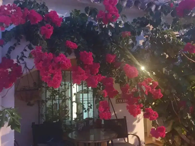 Casa adosada en venda en Mijas amb Aire condicionat, Piscina i Balcó