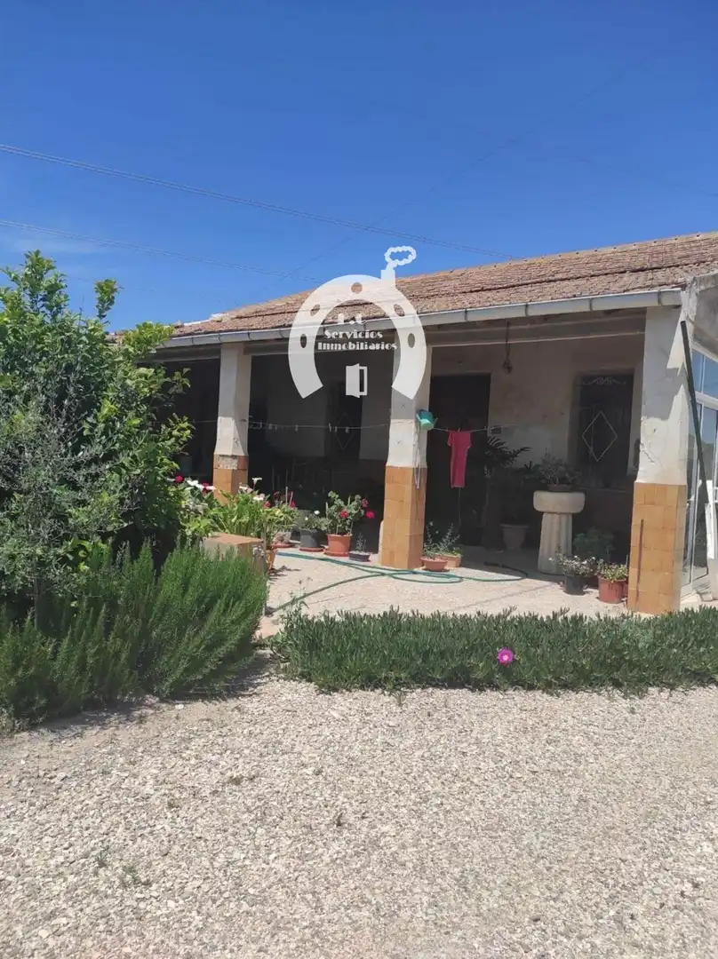 Vista exterior de Casa o xalet en venda en Elche / Elx amb Terrassa