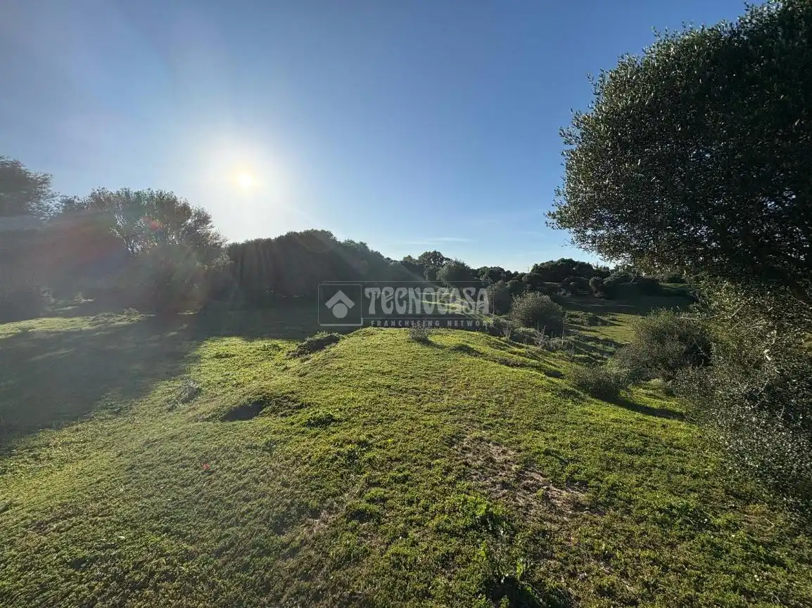 Terreno en venta en Barbate