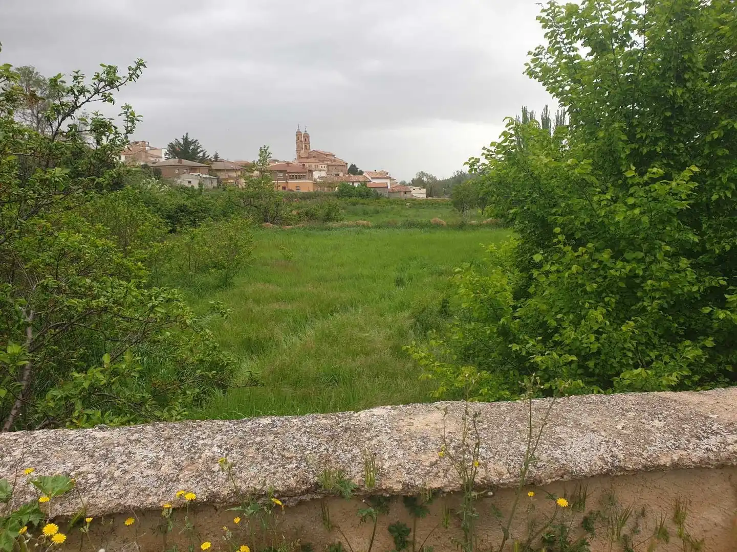 Terreno en venta en Munébrega