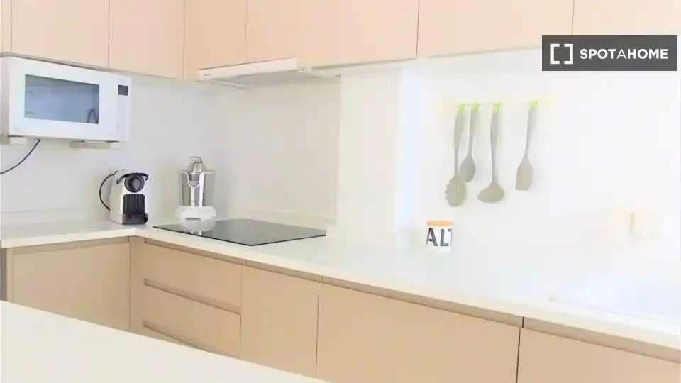 Kitchen of Apartments for share in Alicante / Alacant  with Air Conditioner, Terrace and Furnished