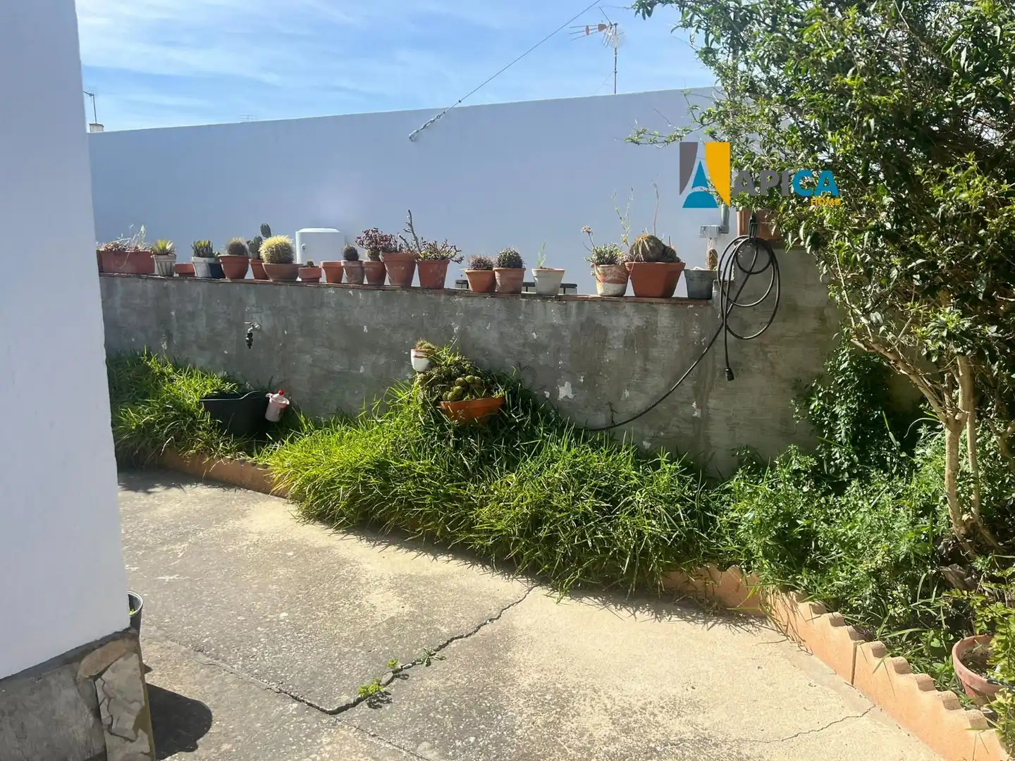 Jardí de Casa o xalet en venda en Vejer de la Frontera amb Aire condicionat, Calefacció i Terrassa