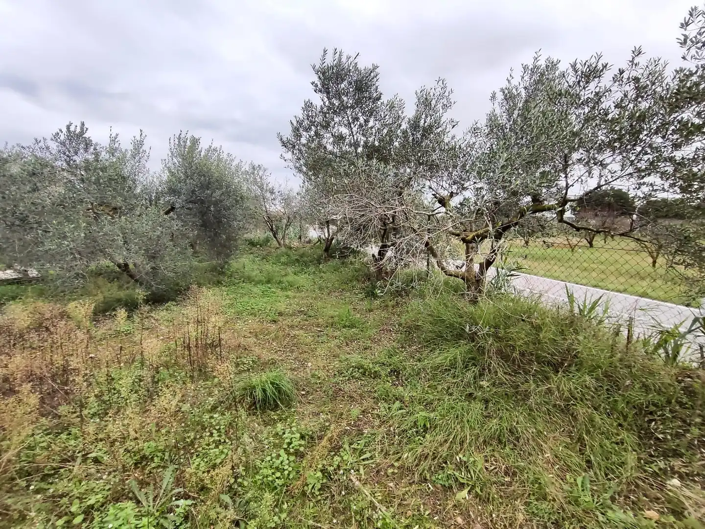 Land for sale in Vilallonga del Camp