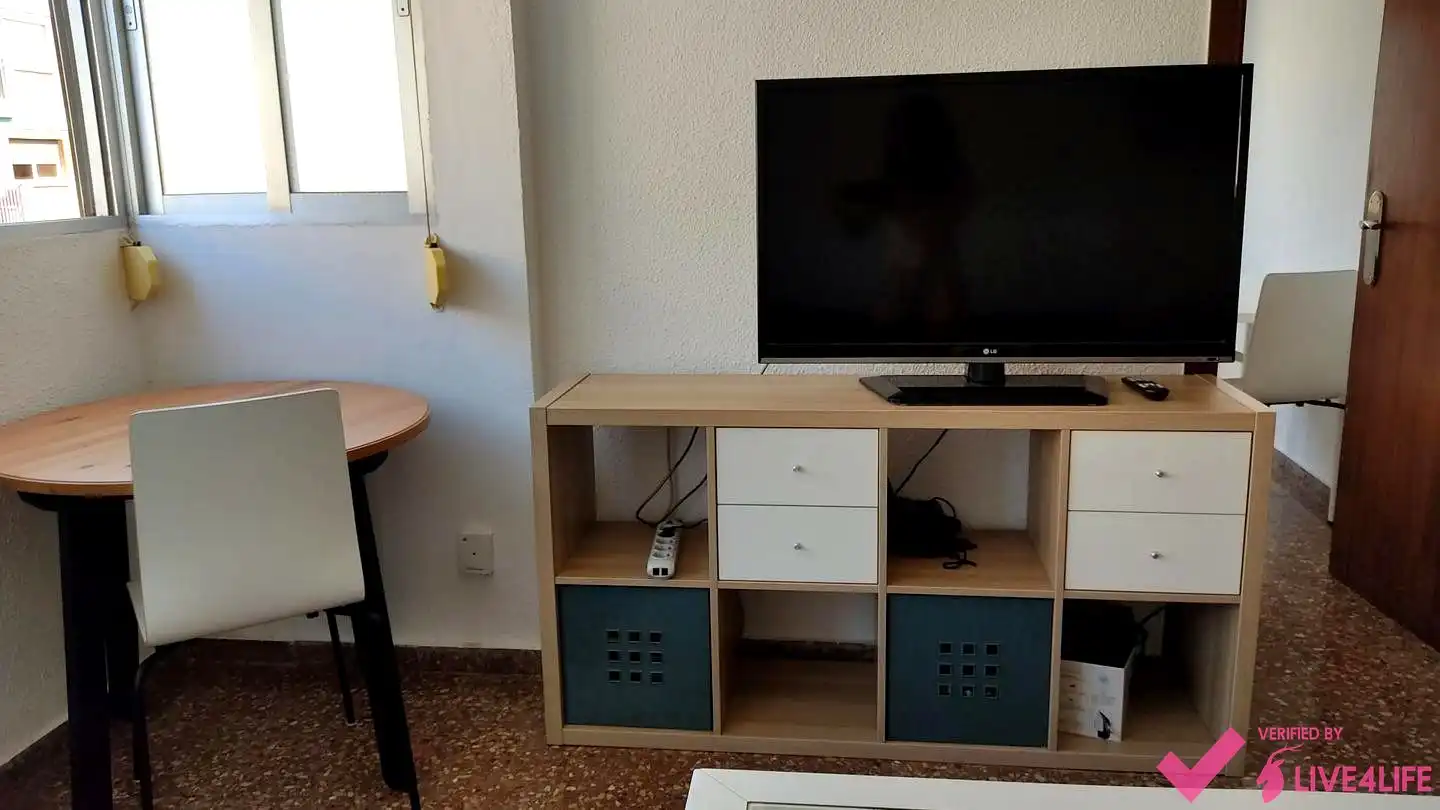 Sala de estar de Piso de alquiler en Valencia con Aire acondicionado y Amueblado