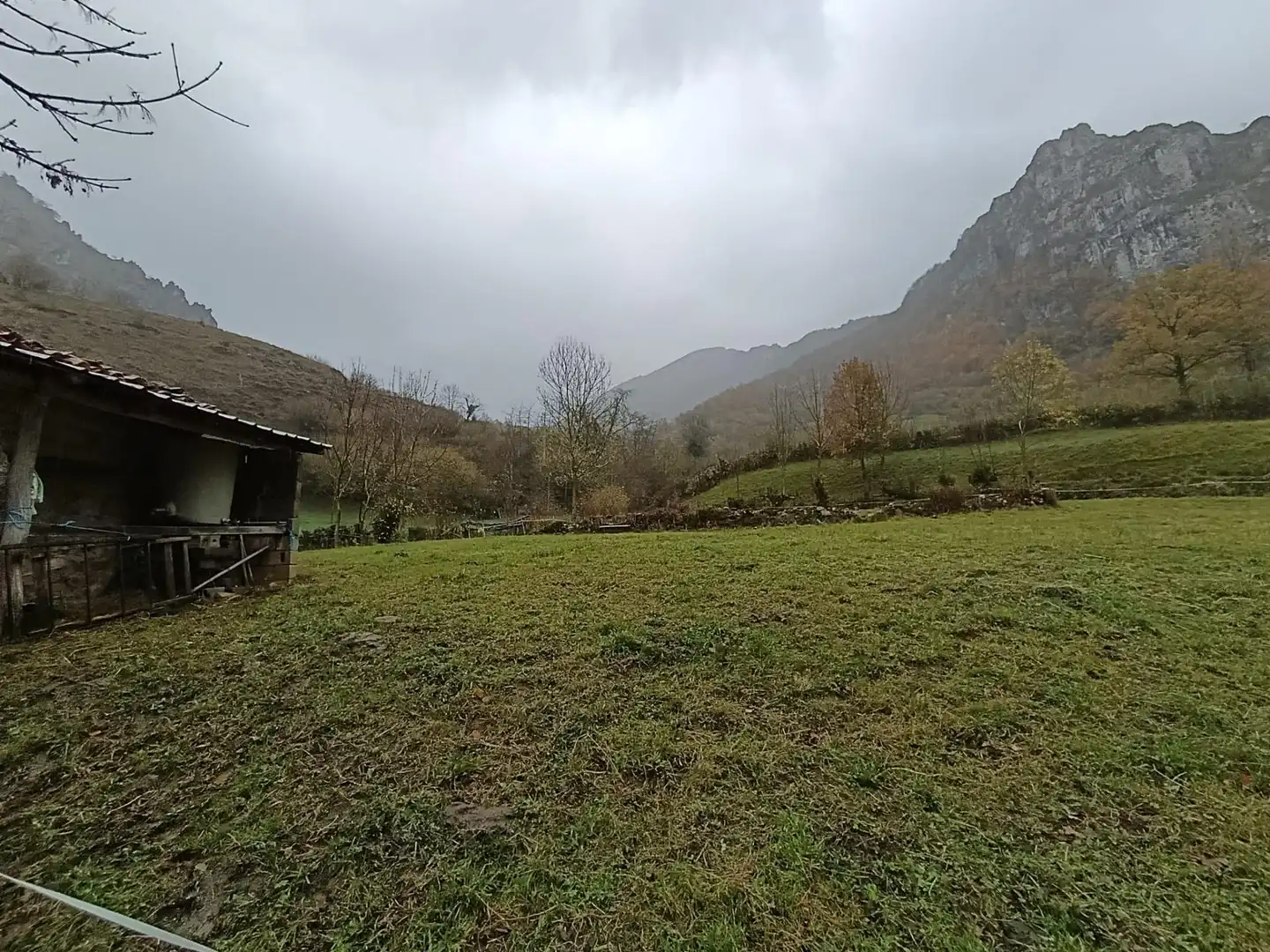 Land for sale in Aller