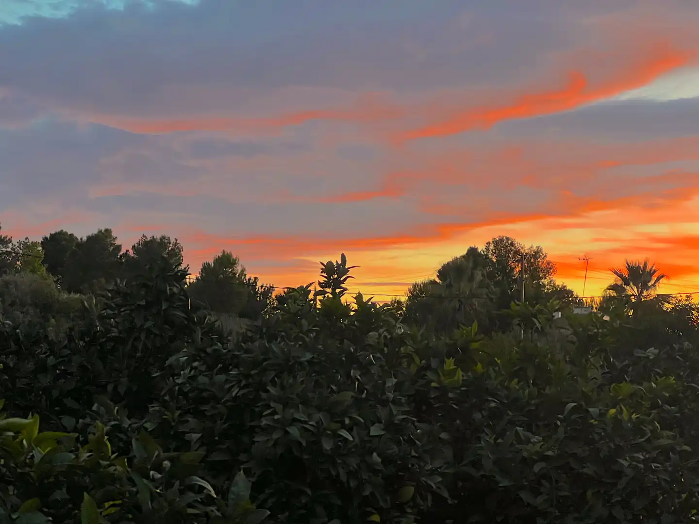 Vista exterior de Finca rústica en venta en Vilamarxant con Aire acondicionado, Jardín privado y Terraza