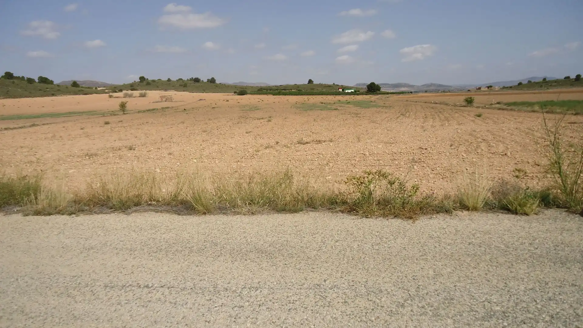 Terreni e lotti in vendita a Yecla