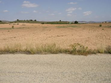 Terreno rustico in vendita a Yecla