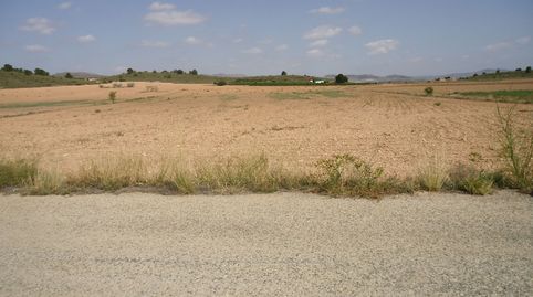 Parcela 17.496 m2 en Yecla Murcia