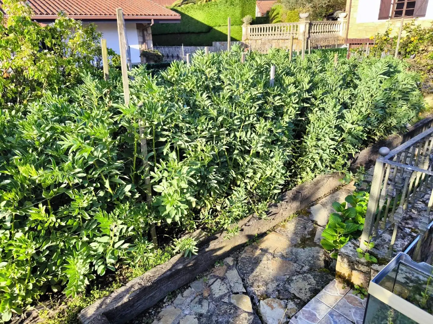 Jardí de Casa o xalet en venda en Castro-Urdiales