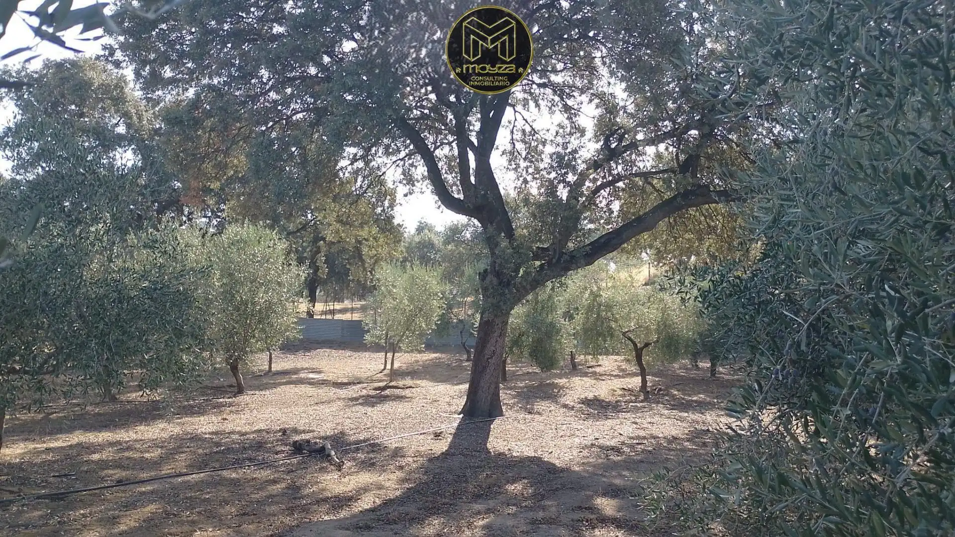 Casa rústica amb terrassa en venda a San Roque - La Cruz - La Rozuela, imagen 31