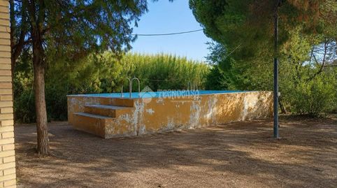 Photo 4 of Country homes for sale in Llano Verde - Pago la Lavandera, Arahal, Sevilla