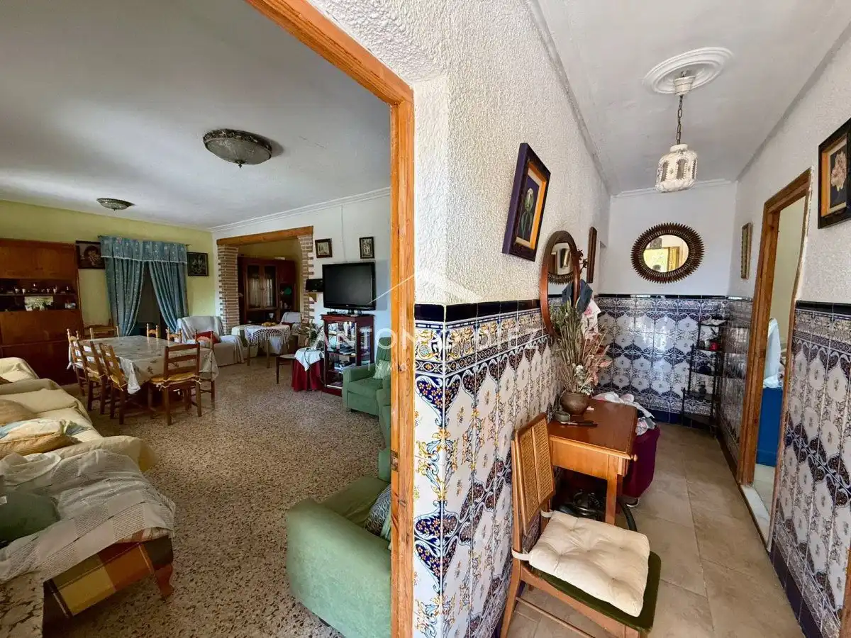 Sala d'estar de Casa o xalet en venda en Aspe amb Terrassa