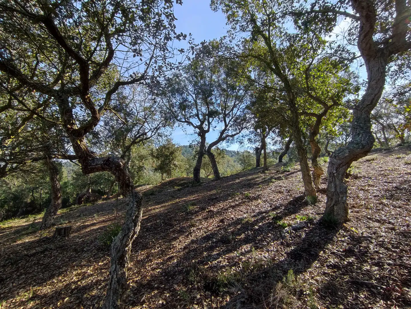Terreno residencial en venta en Carrer dels Pirineus, imagen 9