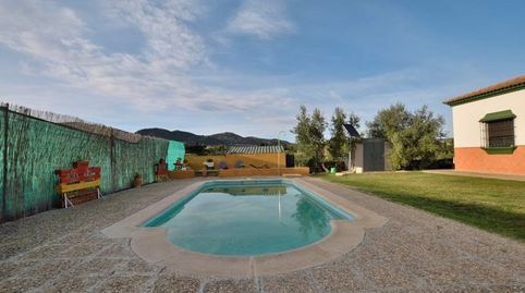 "Finca rústica a 5 minutos del pueblo blanco de Arriate y a 10 minutos de la histórica ciudad de Ronda., imatge 5