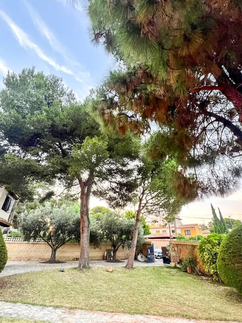 Chalet con piscina en venta en Orihuela Costa, imagen 8
