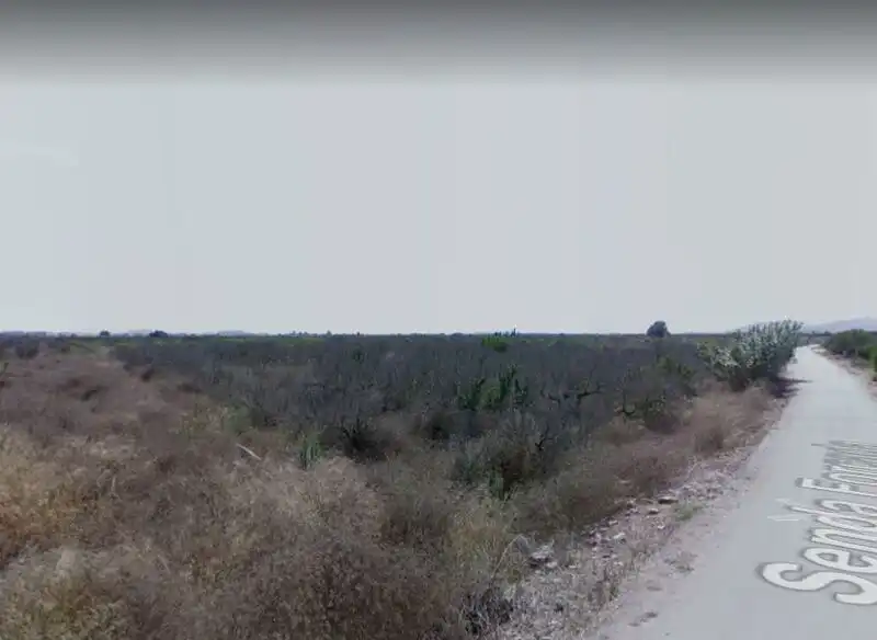 Terreny rústic en venda a Polígono 3, imagen 12