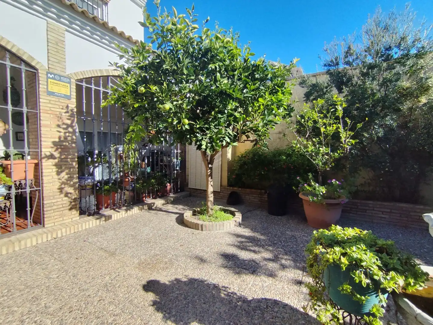 Jardí de Casa o xalet en venda en Hinojos amb Aire condicionat, Calefacció i Jardí privat