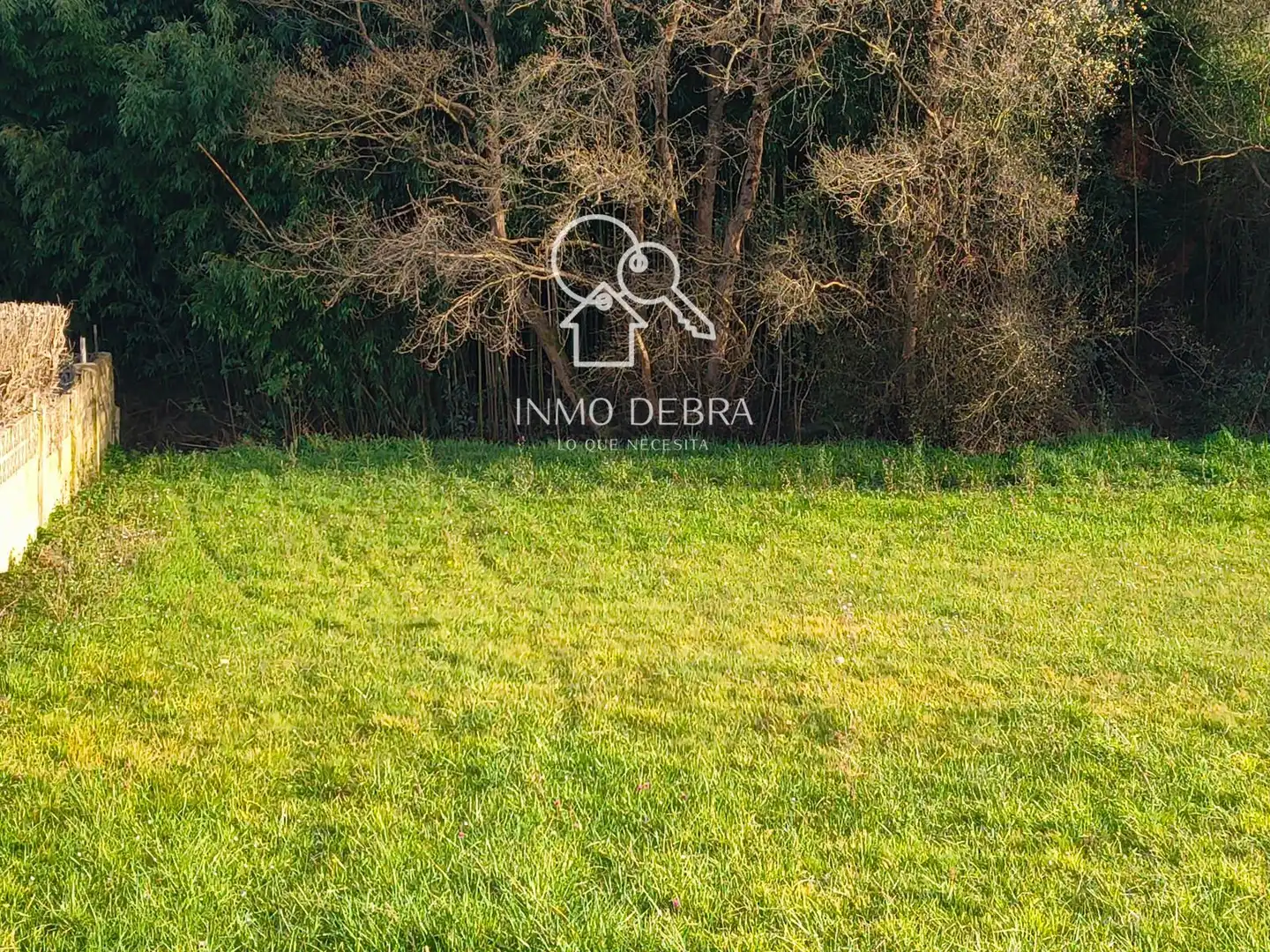 Terreno rustico in vendita a N/A, imagen 7