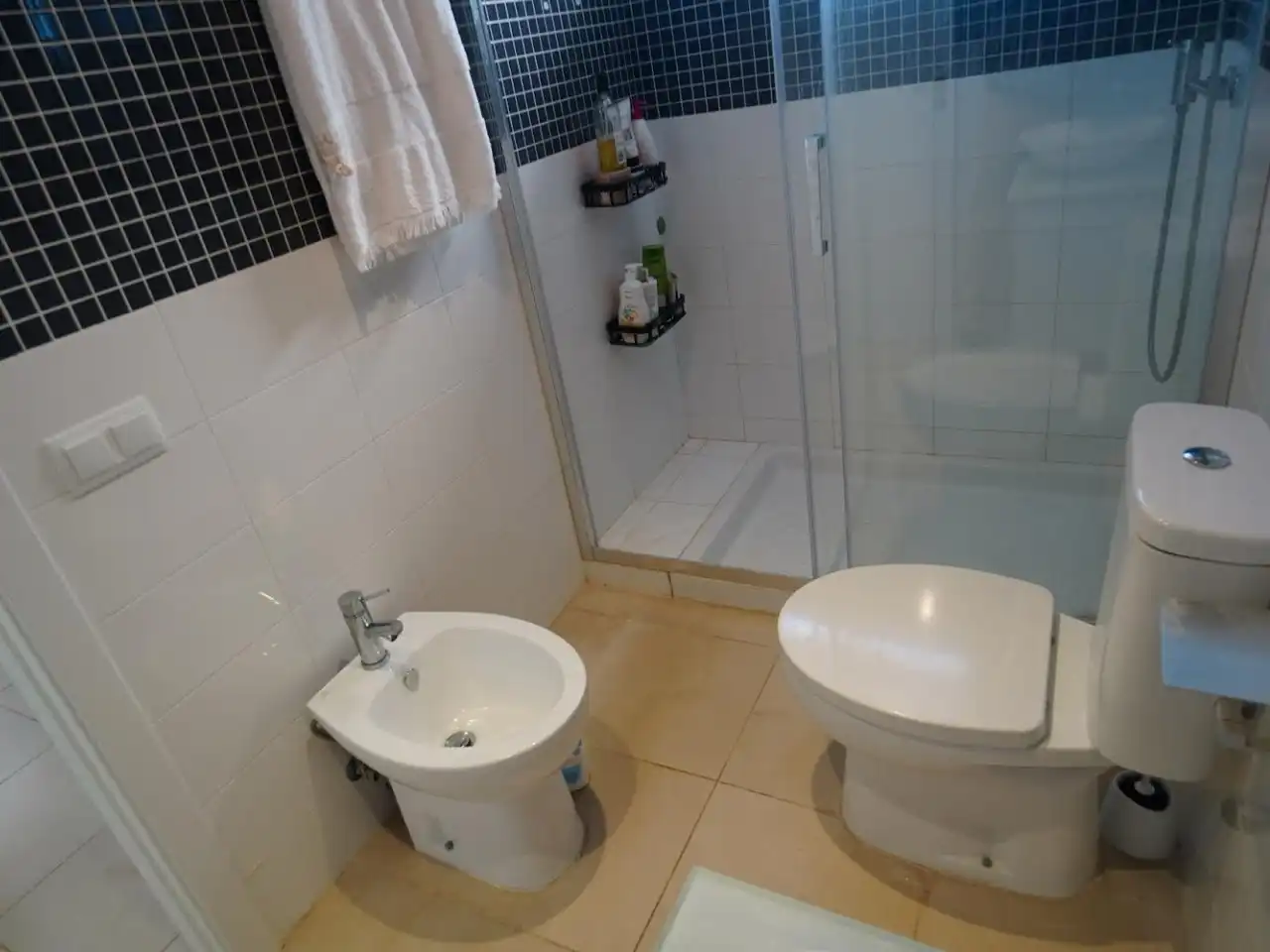 Penthouse mit Pool zum Verkauf in Avenida papá luna 167, imagen 13