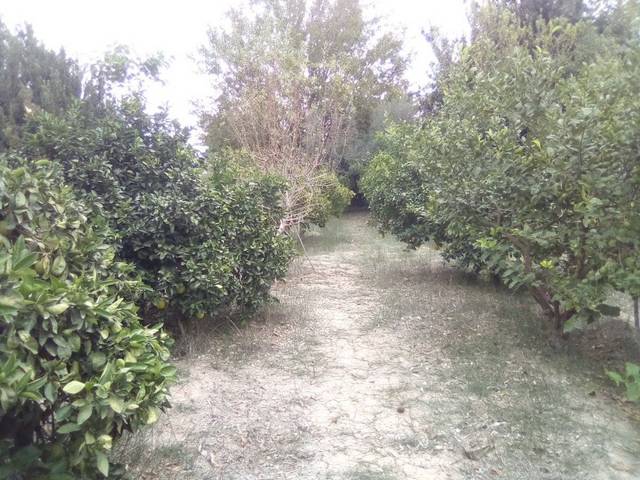 Terreno residencial en Venta en Comunidad en Los Dolores