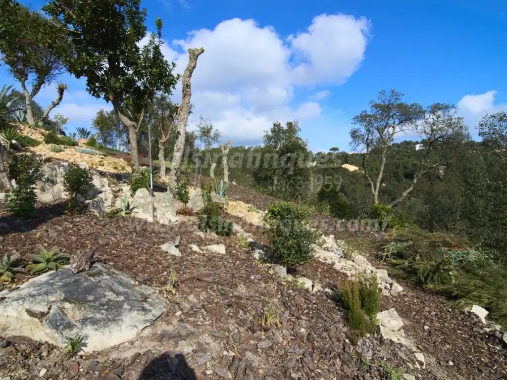 Villa mit Pool zum Verkauf in Camí de la Plana, imagen 47