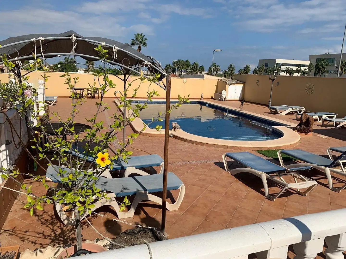 Casa con piscina in vendita a N/A, imagen 4