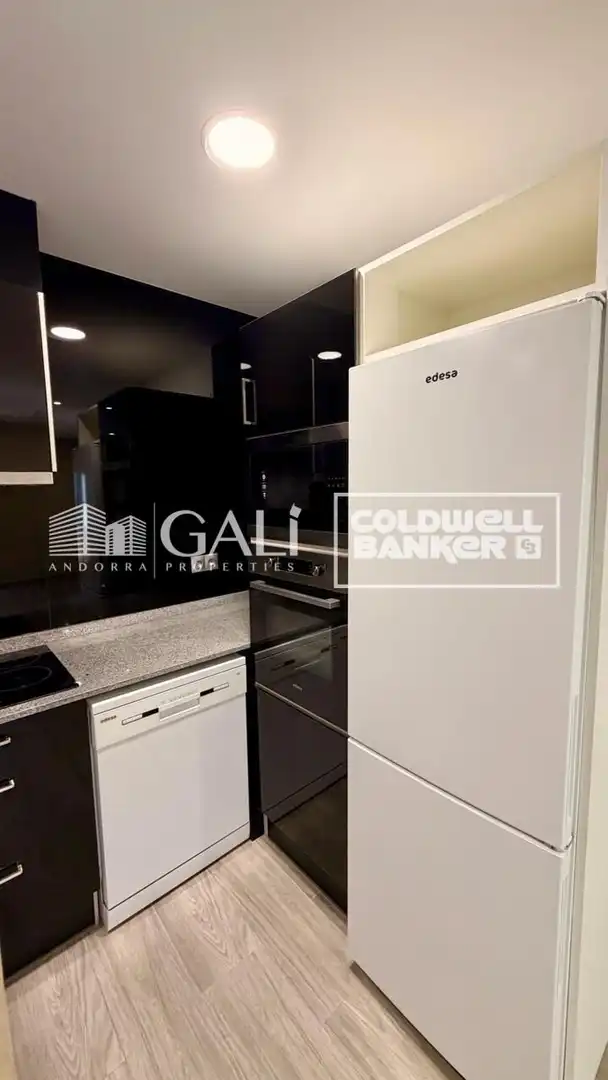 Pis amb terrassa en venda a Avenida Meritxell, imagen 13