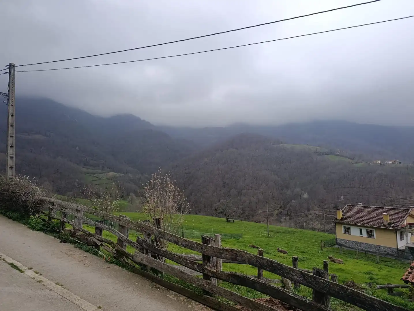 Vista exterior de Finca rústica en venta en Caso