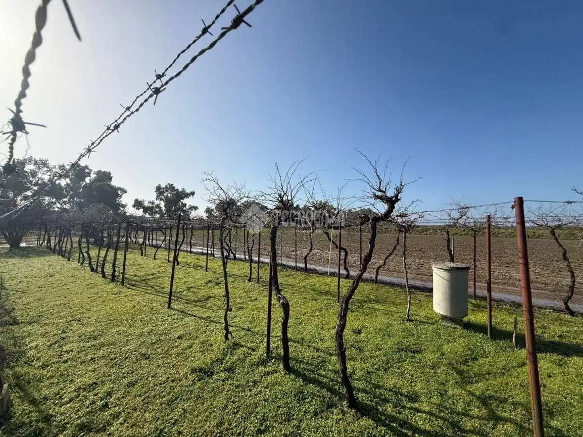 Terreno en venta en Arahal
