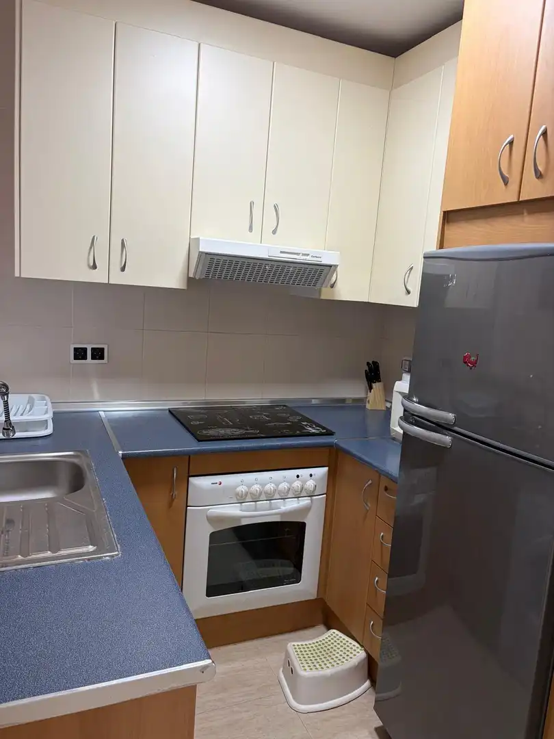 Apartament amb terrassa en venda a Los Collados-Los Geraneos, imagen 10