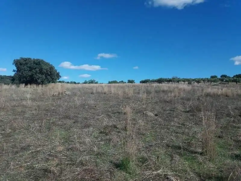 Residential land for sale in Fuente Obejuna, imagen 9