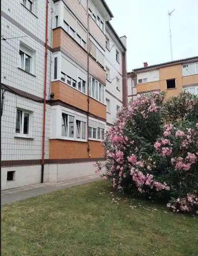 Vista exterior de Piso en venta en Gijón  con Calefacción, Jardín privado y Amueblado