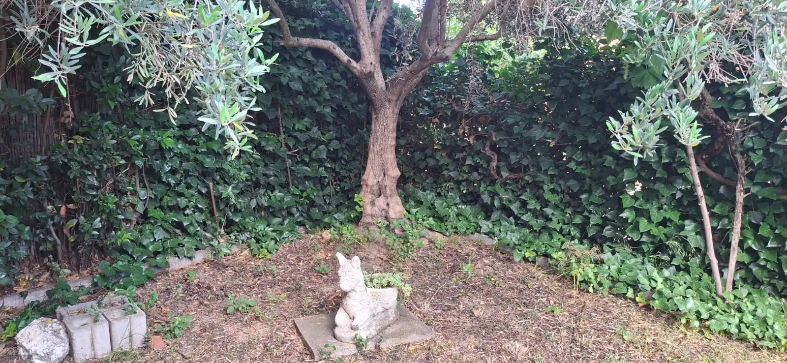 Jardí de Casa o xalet en venda en Cadrete amb Calefacció, Jardí privat i Terrassa
