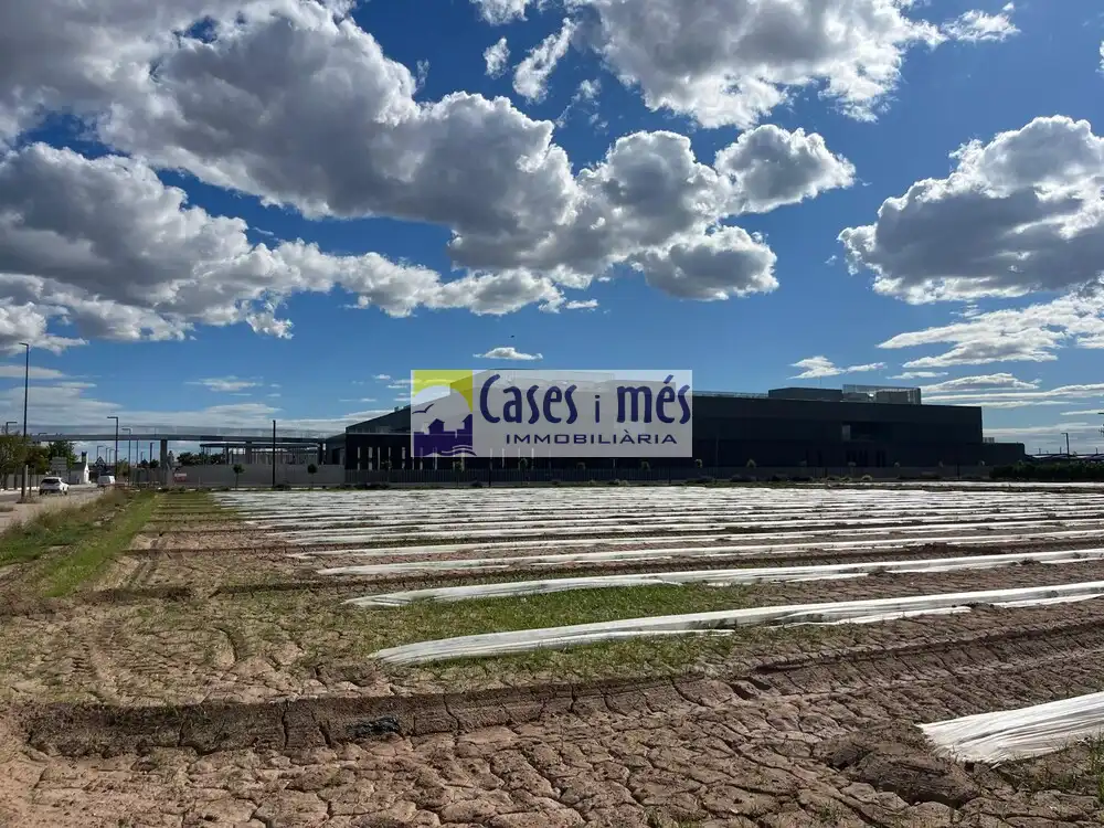 Exterior view of Commercial properties for sale in Museros