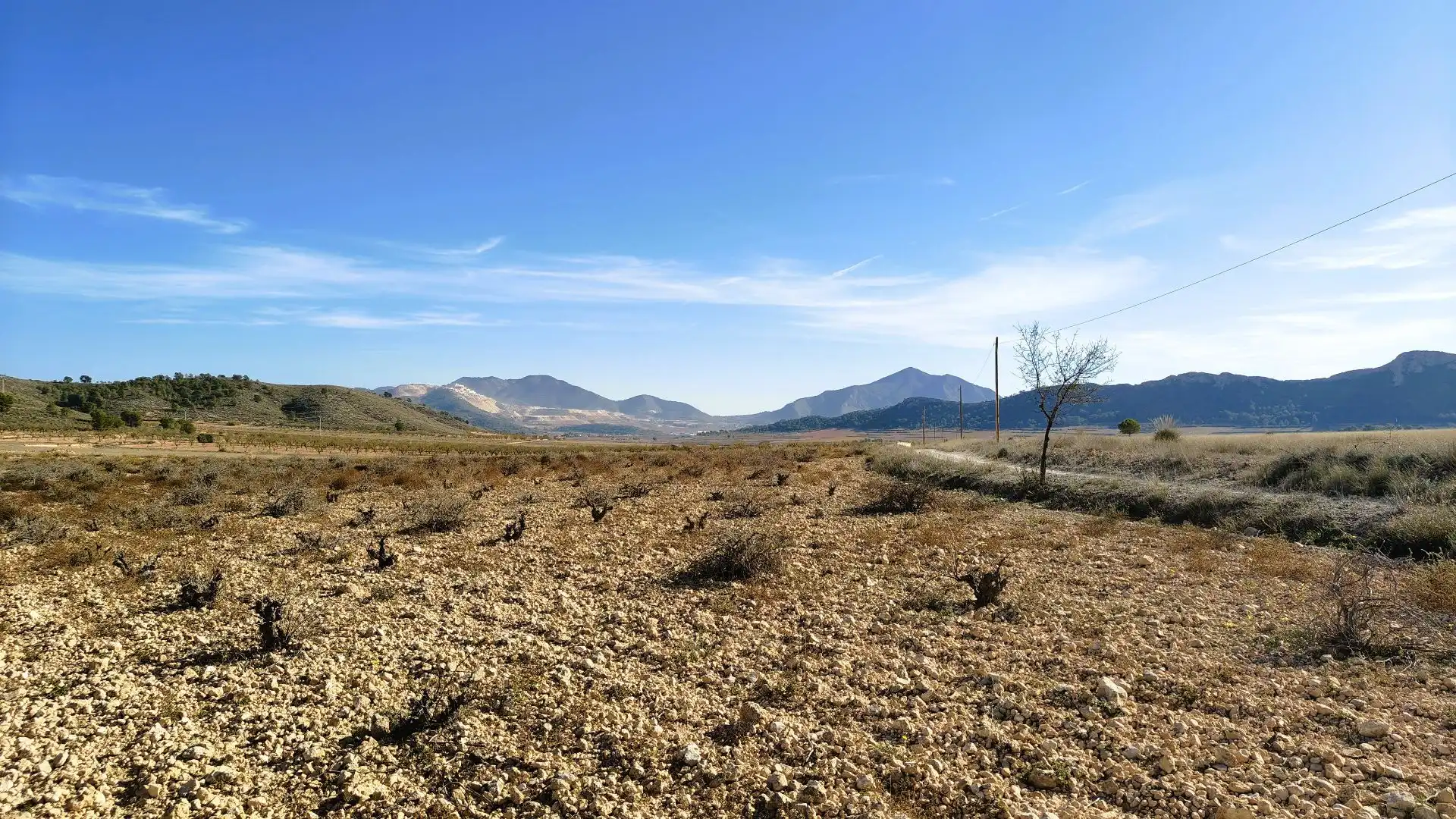 Lands and plots for sale in Abanilla, imagen 10