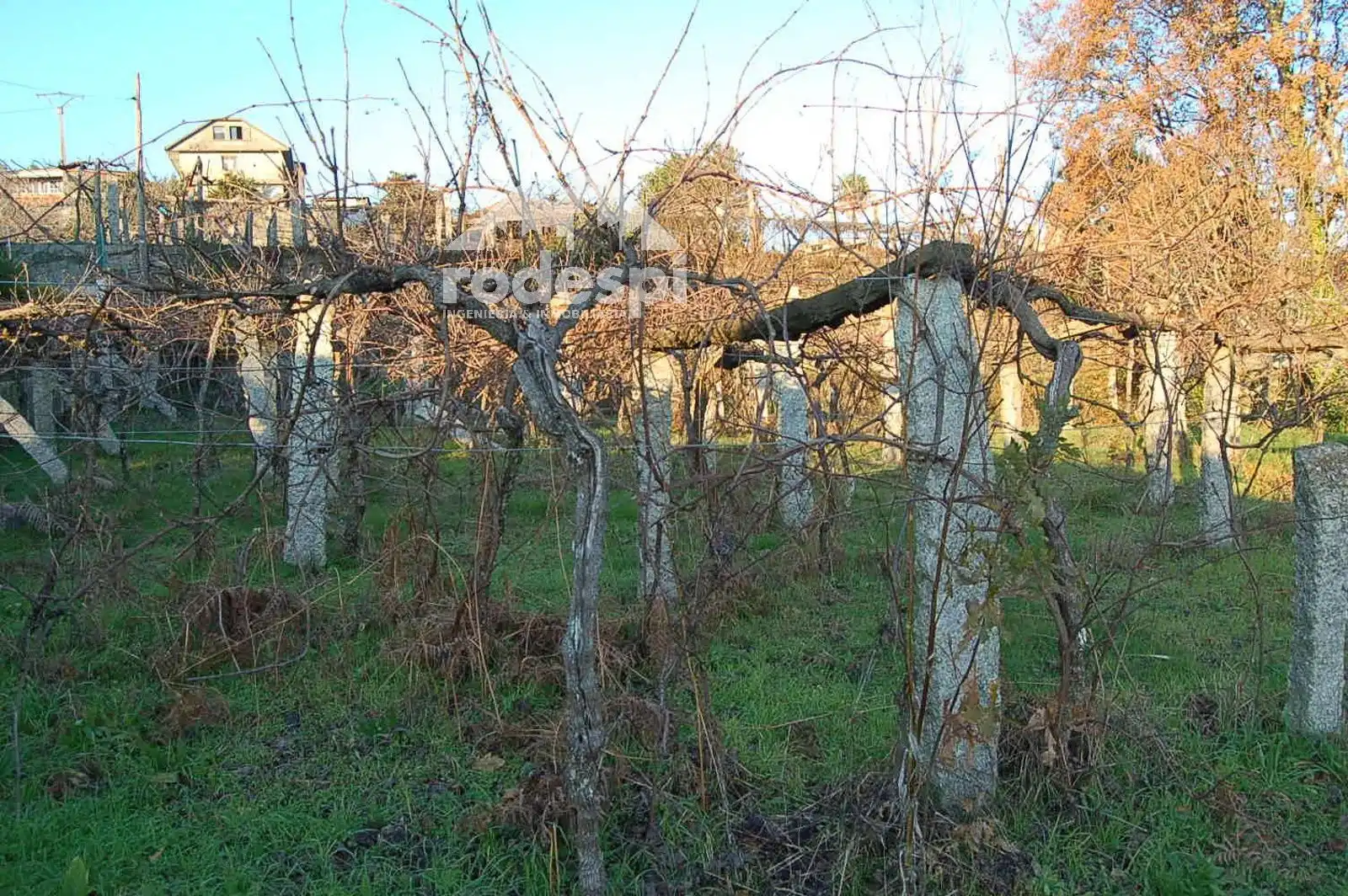 Terrenys i solars en venda a Ponteareas, imagen 6