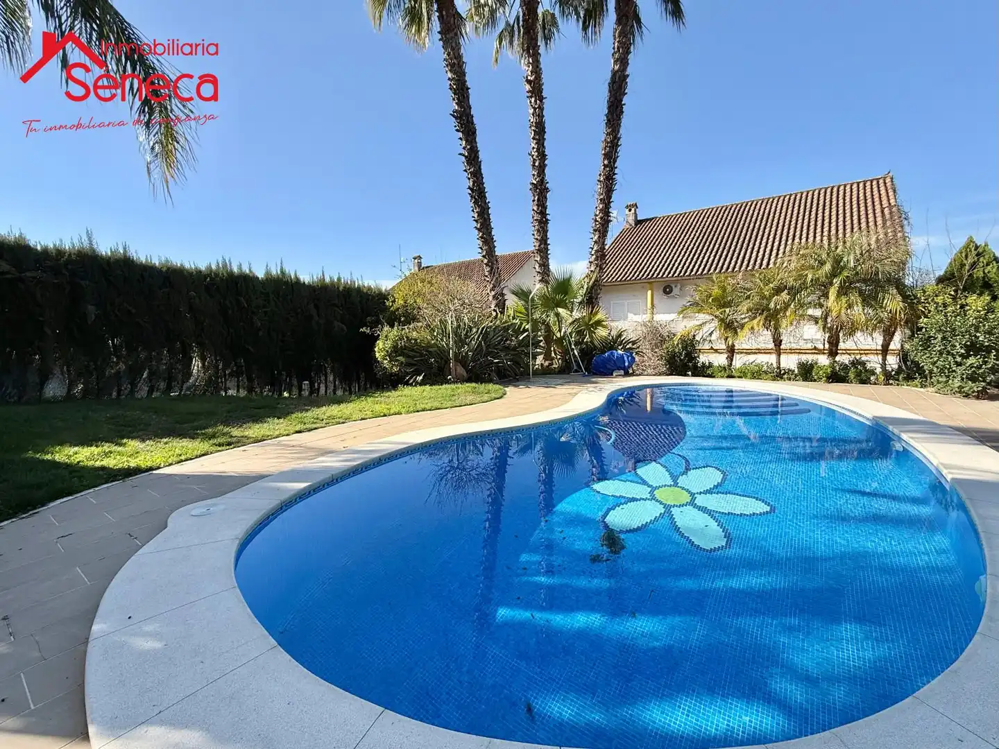 Piscina de Casa o xalet en venda en Alcolea amb Aire condicionat, Calefacció i Terrassa