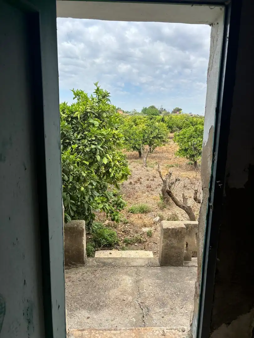 Finca rústica en venta en Guardamar del Segura