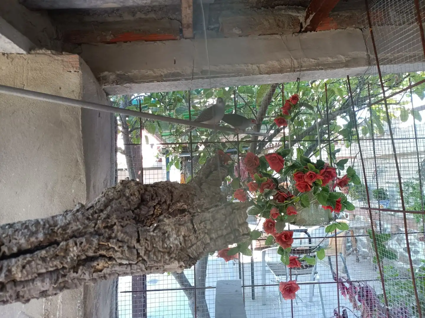 Terraza de Casa o chalet en venta en Campofrío con Calefacción, Jardín privado y Terraza