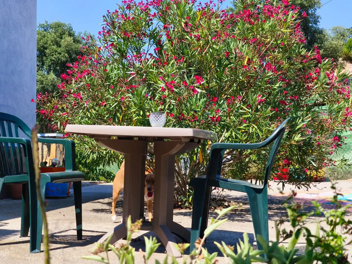 Detached house with garden for sale in Lloret Residencial - Montlloret, imagen 63