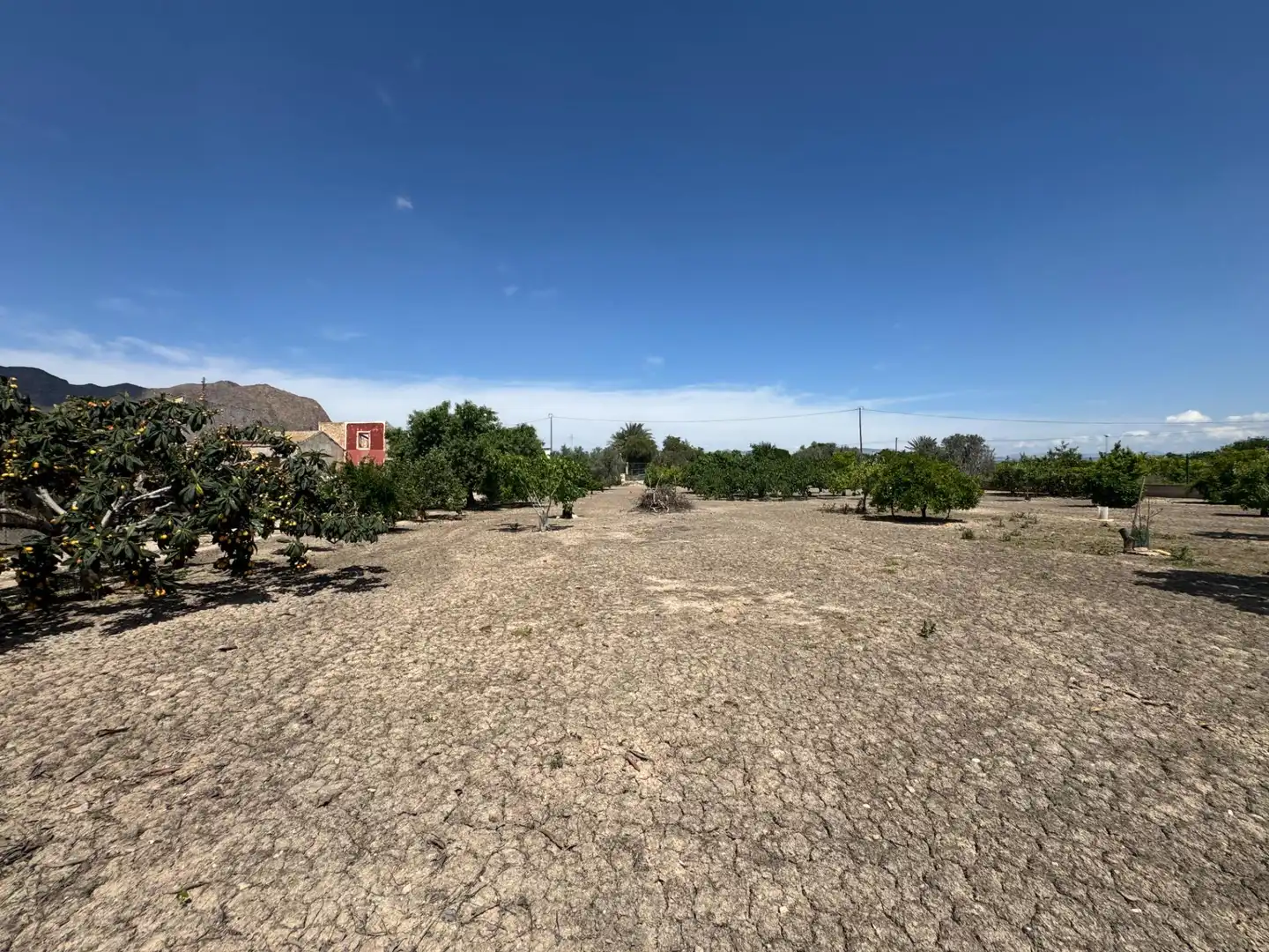 Casa en venta en Callosa de Segura, imagen 11